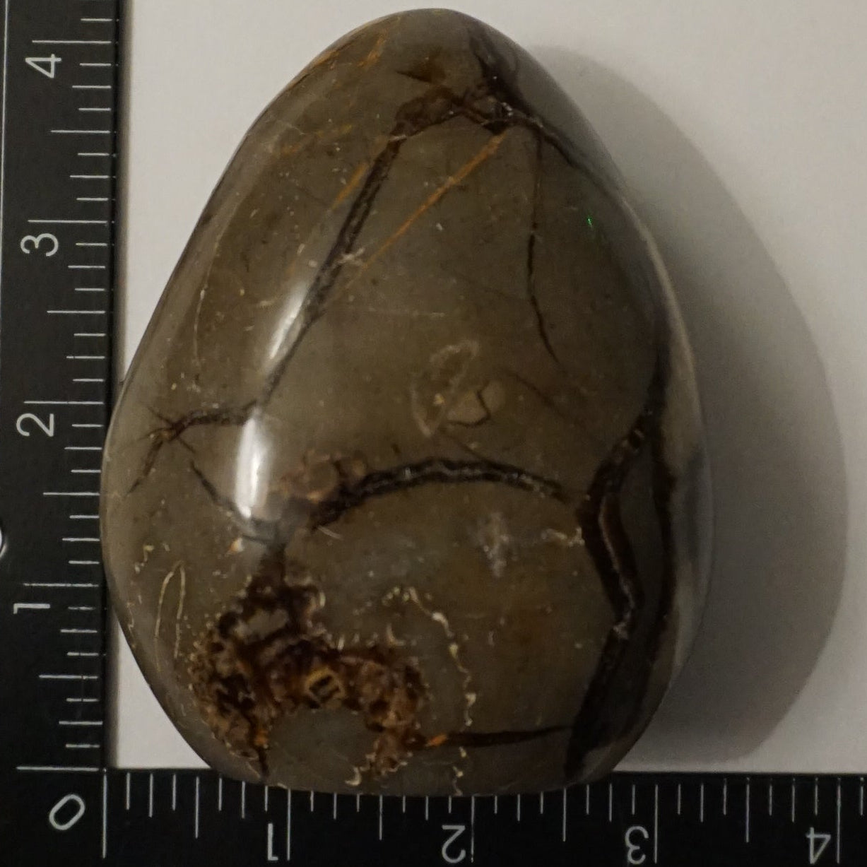Septarian Dragon Egg