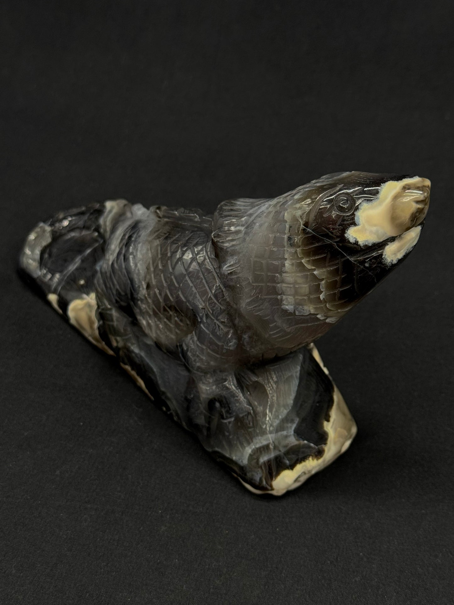 Volcanic Agate Iguana
