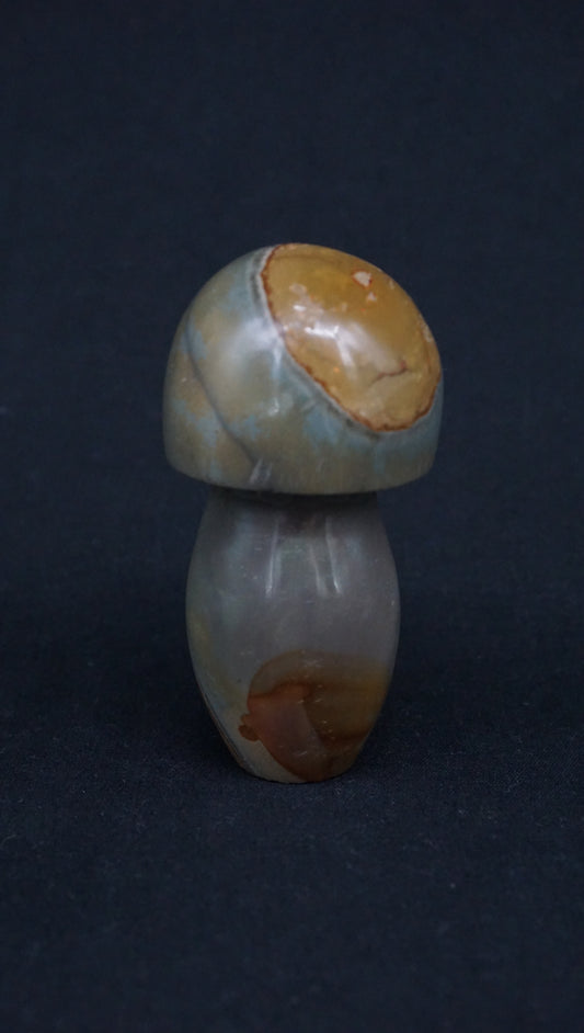 Desert Jasper Mushroom