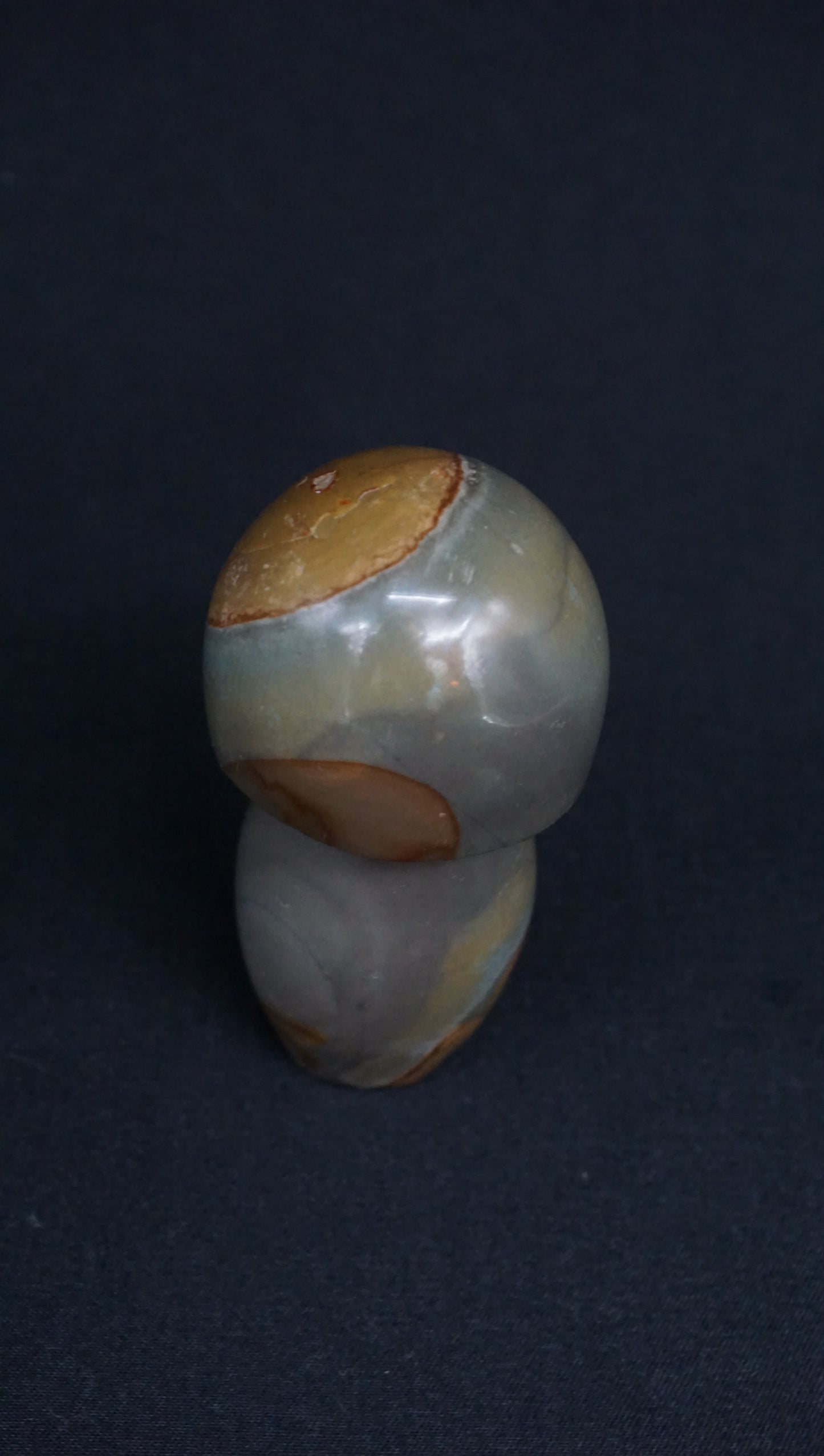 Desert Jasper Mushroom